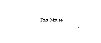 FOOT MOUSE