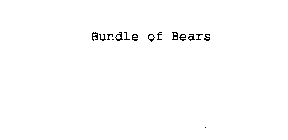 BUNDLE OF BEARS