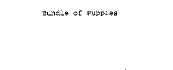 BUNDLE OF PUPPIES