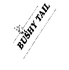 BUSHY TAIL