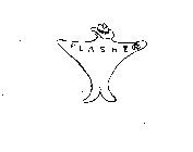 FLASHER