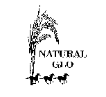 NATURAL GLO