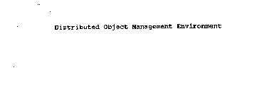 DISTRIBUTED OBJECT MANAGEMENT ENVIRONMENT