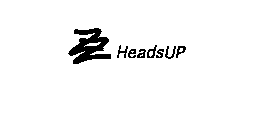 ZZ HEADSUP