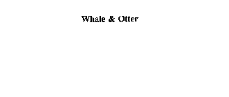 WHALE & OTTER