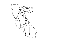 CALIFORNIA GLOVES