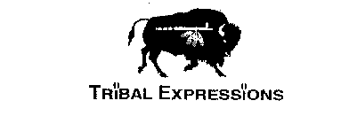 TRIBAL EXPRESSIONS