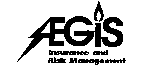 AEGIS INSURANCE AND RISK MANAGEMENT