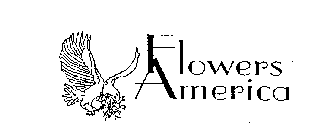 FLOWERS AMERICA