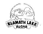 KLAMATH LAKE ALGAE