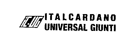 IC-UG ITALCARDANO UNIVERSAL GIUNTI