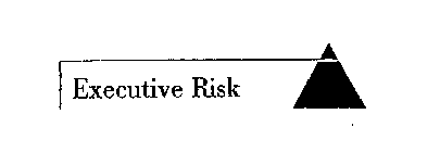 EXECUTIVE RISK
