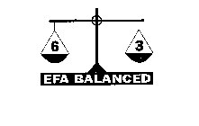 6 3 EFA BALANCED