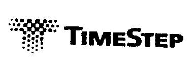 T TIMESTEP