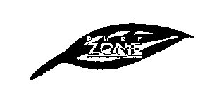 PURE ZONE