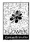 FLOWER CANTARELLI STUDIO