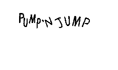 PUMP'N'JUMP