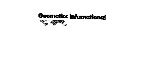 GEOMATICS INTERNATIONAL