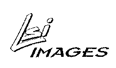 LSI IMAGES