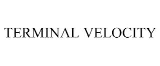 TERMINAL VELOCITY