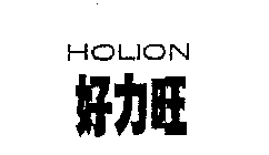 HOLION