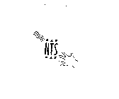 NTS