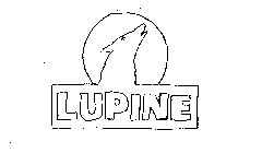 LUPINE