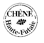 CHENE HAUTE-FUTAIE