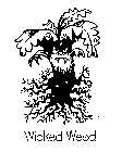 WICKED WEED