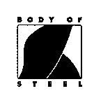 BODY OF STEEL