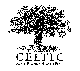 CELTIC SMALL BUSINESS HEALTH PLANS