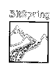 BITSPRING