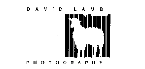 DAVID LAMB PHOTOGRAPHY