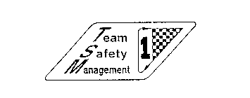 TEAM SAFETY MANAGEMENT 1