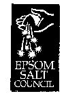 EPSOM SALT COUNCIL