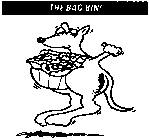THE BAG BIN!