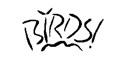 BIRDS!