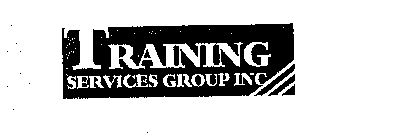 TRAINING SERVICES GROUP INC