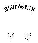 BLUESOUTH