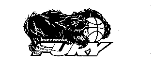 FORTWAYNE FURY