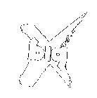 X BIG
