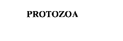 PROTOZOA