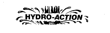 HYDRO-ACTION INC.
