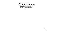 CYBER SURFER OF CYBERNATION