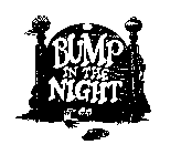 BUMP IN THE NIGHT