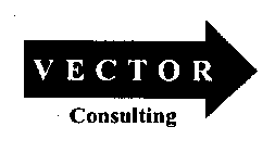 VECTOR CONSULTING