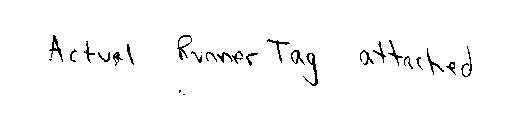 RUNNER TAG(S)