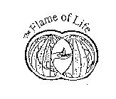 THE FLAME OF LIFE