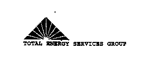 TOTAL ENERGY SERVICES GROUP