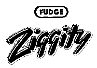 FUDGE ZIGGITY